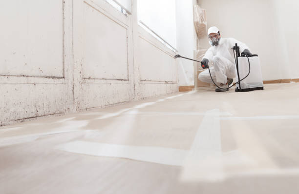24/7 Emergency Mold Remediation experts in Missouri City, TX